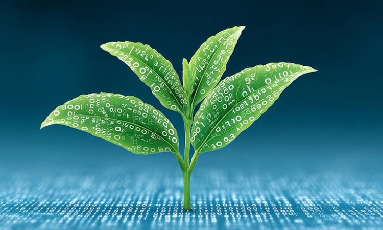 Green seedling growing from a blue, digital surface, with binary code patterns on its leaves.