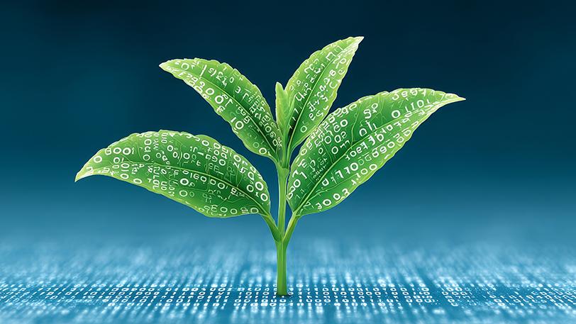 Green seedling growing from a blue, digital surface, with binary code patterns on its leaves.